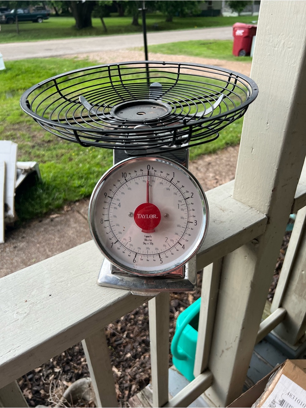 Taylor Black Wire Top Kitchen Scale with Red Dial
